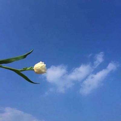 轩辕神域游戏